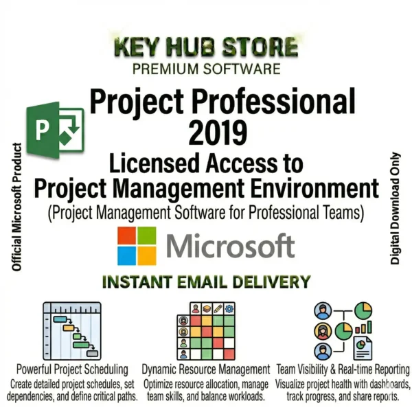 Project Professional 2019