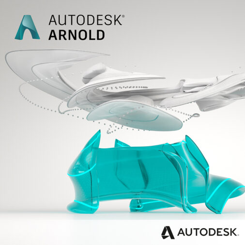 Autodesk Arnold 2024 Windows